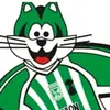Javier Nación 💚🤍 - @javier.rubiano.go - TikTok