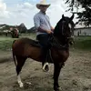 Javier Rubiano - @javier.rubiano1 - TikTok