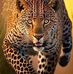 Javier Rubiano - Facebook