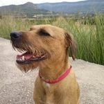 Javier Saurina Borras - @javiersaurinaborras - Instagram