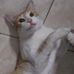 Javier Schmidt - Facebook