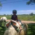 Javier Schmidt - @javier.schmidt.17 - Instagram