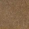 Javier Tarango - @jtcritical - TikTok
