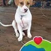 Javier Urena Silvas - @javier.urena.silv - TikTok