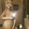 Javier Valerio - @javier.valerio598 - TikTok