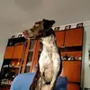 Javier Verdejo - @javier.verdejo2 - TikTok