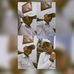 Javier Zelaya - Facebook