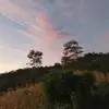 Javier Zepeda - @javier.zepeda31 - TikTok
