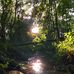 Javin Johnson - Facebook