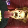 Javon Campbell - @javoncampbell1 - TikTok