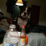 javon james - @javon7516 - Instagram