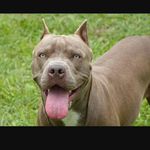 jmurphy22 - @javon.murphy.jm02 - Instagram