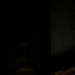 javon singleton - @singletonjavon - Instagram