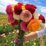 Jawad Khan - Facebook