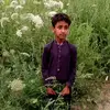 jawaidmalik - @jawaidmalik1234 - TikTok