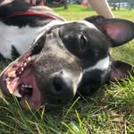 Jax Lemaster - @jax.allen - Instagram