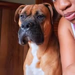 Jax Moore-Allen - @boxer_puppyjax - Instagram