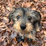 Jax - @jax_murphy_ - Instagram