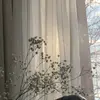 jax - @jaxson.murphy - TikTok