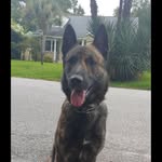 Jax Murphy - @southerndutchie - Instagram