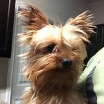 Jax Murphy - @jaxmurphy02 - Instagram