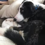 Jax Murphy Akre - @jaxaroo2 - Instagram