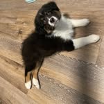 Jaxon “Jax” Murphy - @adventurewith_jax - Instagram