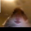 jaxonbaker276 - @jaxon_2347 - TikTok