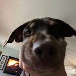 Jaxon Bishop - @jaxon_bishop0809 - Instagram