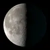 Jaxson Bishop - @jaxson.bishop50 - TikTok