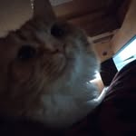 Jaxon Boyd - @jaxonhowland - Instagram
