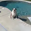 Jaxonboyd - @jaxonboyd1234567 - TikTok