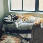Jax & Truffle - @jaxon_briggs_w - Instagram