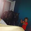 Jackson Downs - @jacksondowns - TikTok