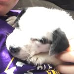 Jaxondowns - @jaxondowns4 - Instagram