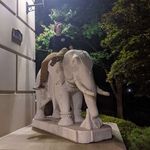 Jaxon Evans - @evansjc102 - Instagram