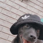 Jaxon Goodwin - Facebook