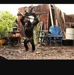 Jaxon Harmon - Facebook