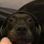 Jaxon King - @ja.xon4009 - Instagram