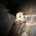 Jaxon King - Facebook