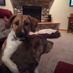 Jaxon Larson - @jaxonlarson4 - Instagram