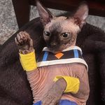 Jaxon Larson - @eyezoooooo - Instagram
