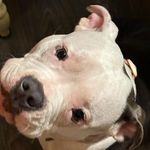 Jaxon Larson - @jaxlar2011 - Instagram