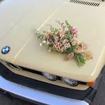 @jaxon.lawrence.5575296 - Instagram