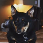 Jaxon Lawrence - @jaxon.lawrence - Instagram