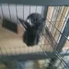 Jaxon Lyons - @jaxon.lyons - TikTok