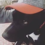 Jaxon - @jaxon.maxwell - Instagram