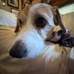 Jaxon Maxwell - @ep1cjax0n3360 - Instagram