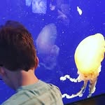 Jaxon Mayes - @jaxon_mayes42 - Instagram