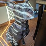 Jaxon Powers - Facebook